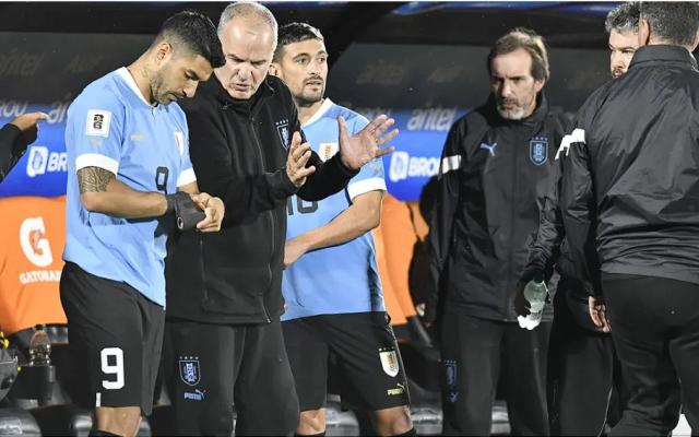 开云体育在线-苏亚雷斯炮轰贝尔萨到底有什么真相？